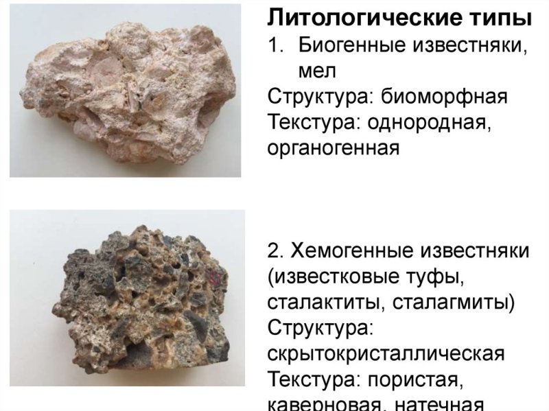 Хемогенные горные породы