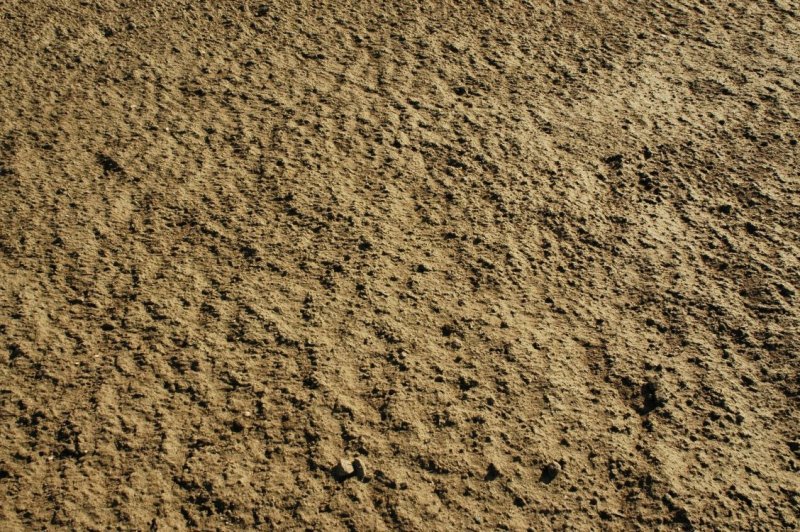 Текстура грунта бесшовная 4k