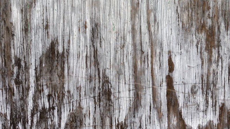 Текстура дерева бесшовная