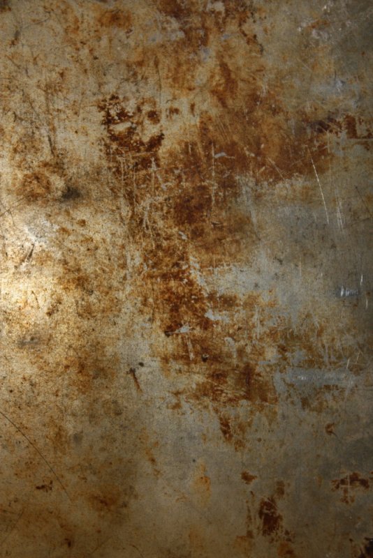 Кость текстура