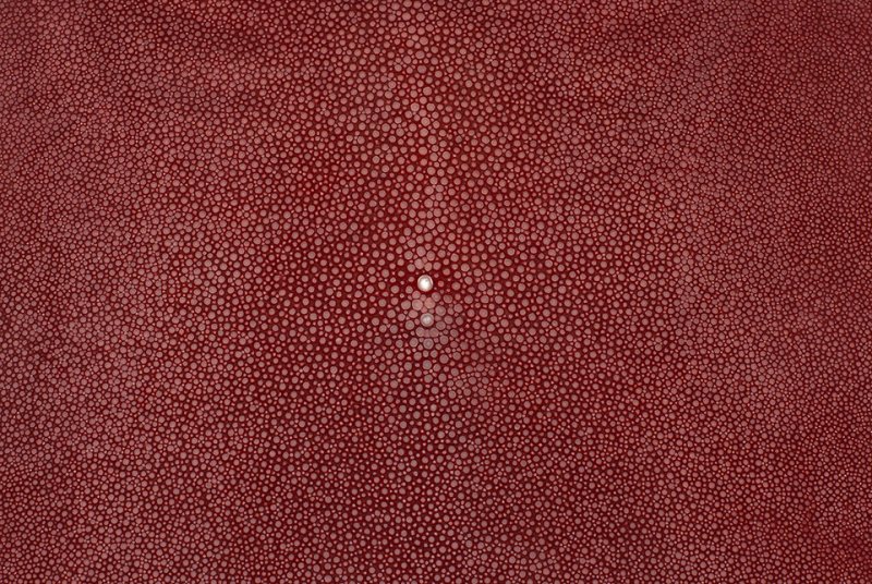 Кожа ската текстура