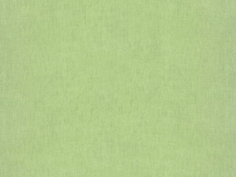 Бледно-зеленый цвет