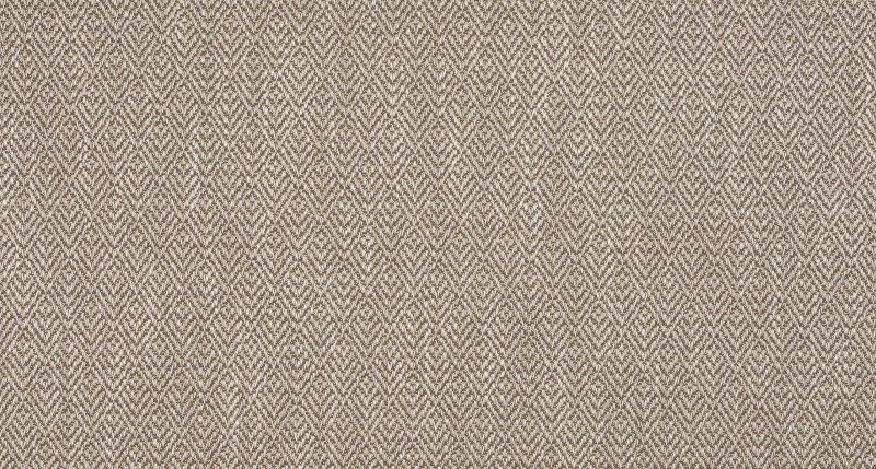 Ткань Carboni Placida