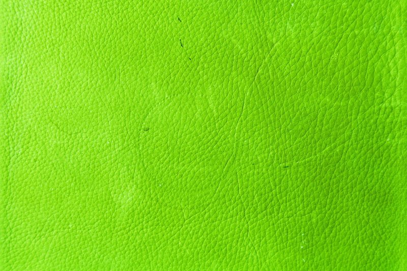 Лаймовый цвет