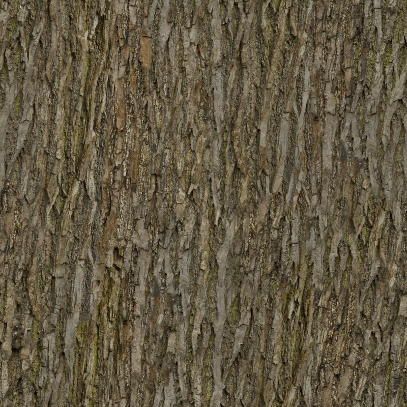 Текстура коры дерева для Blender