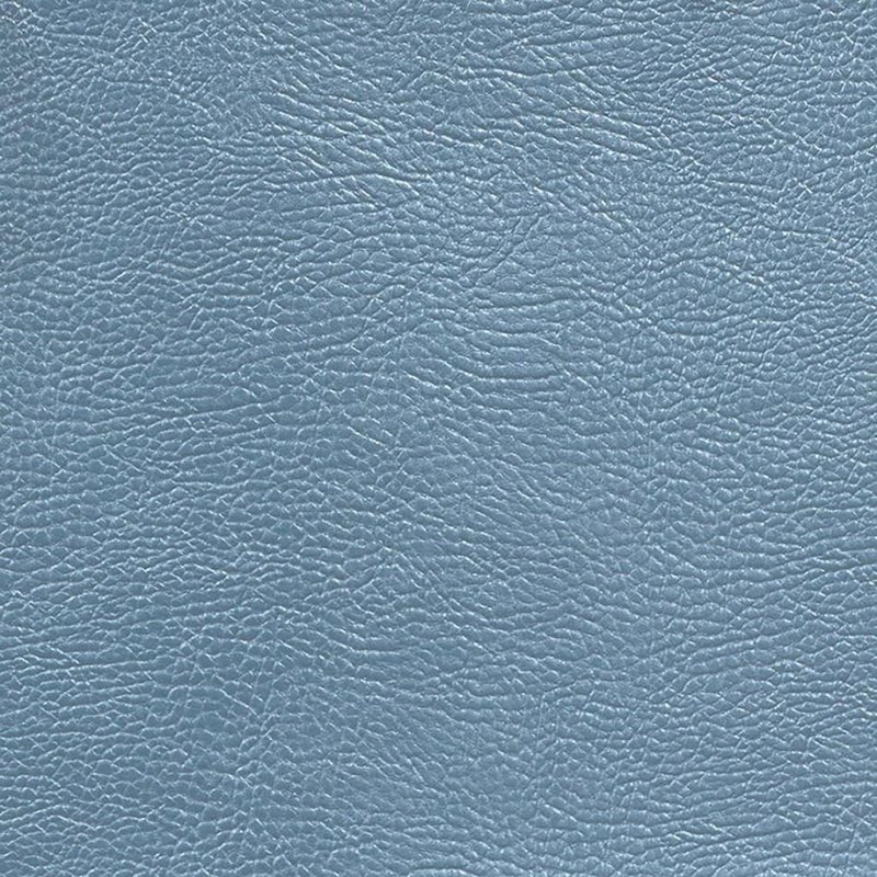 Голубая кожа