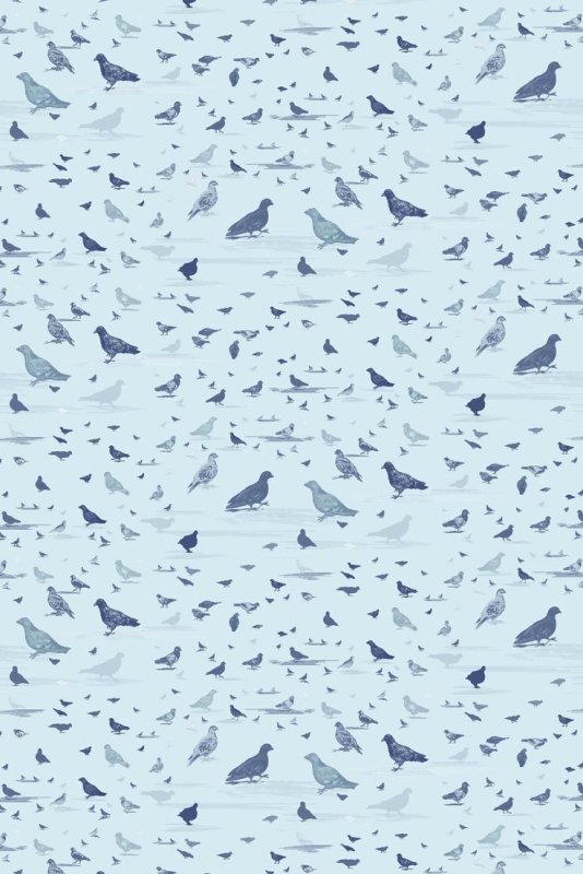 Голубь текстура