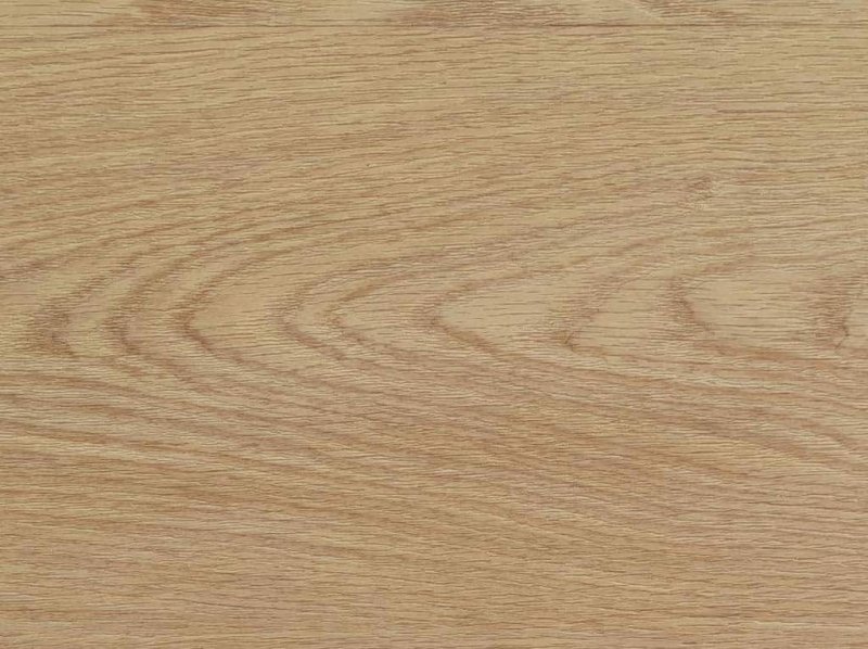 Береза текстура древесины