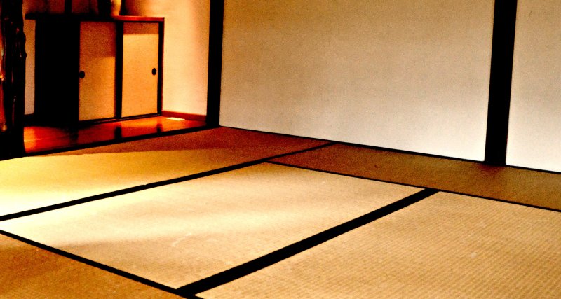 Татами игуса