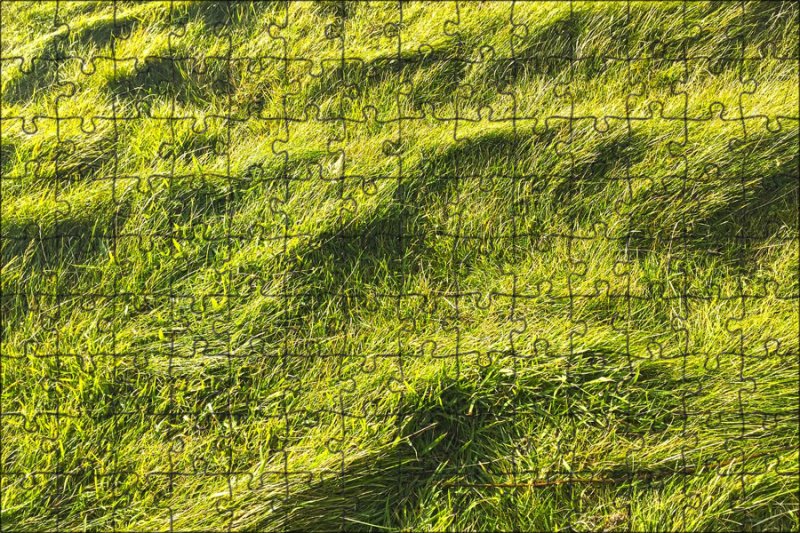 Фактура травы