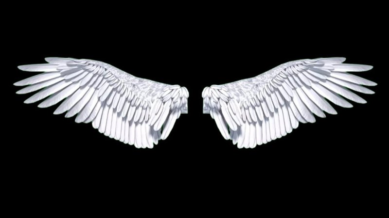Ангельские Крылья