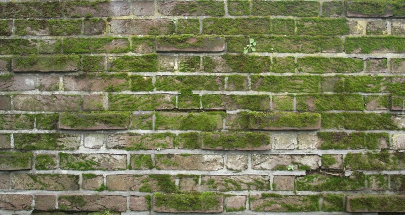 Замшелые каменные кирпичи текстура