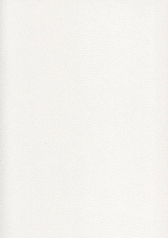 Белый холст