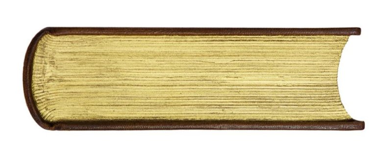 Торец книги