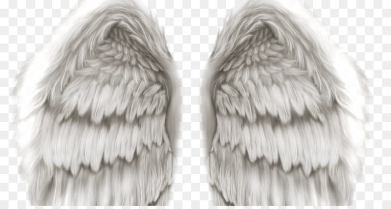 Крылья фактура