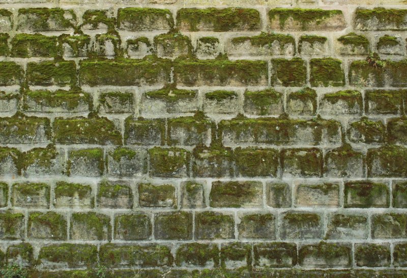 Замшелые каменные кирпичи