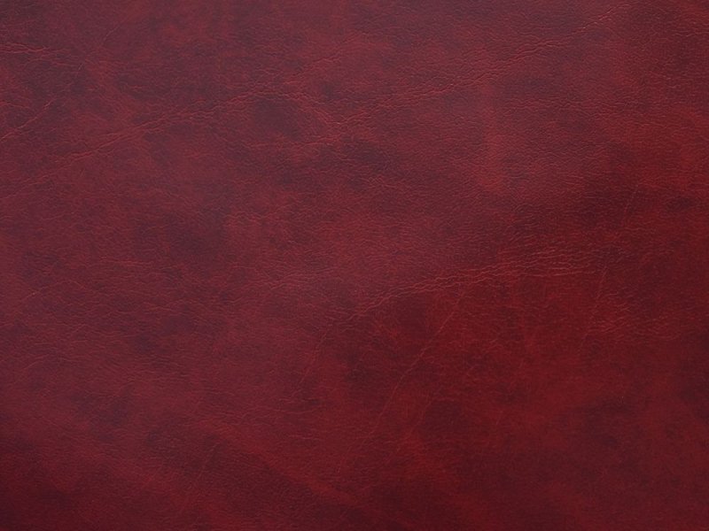 Текстура кожи