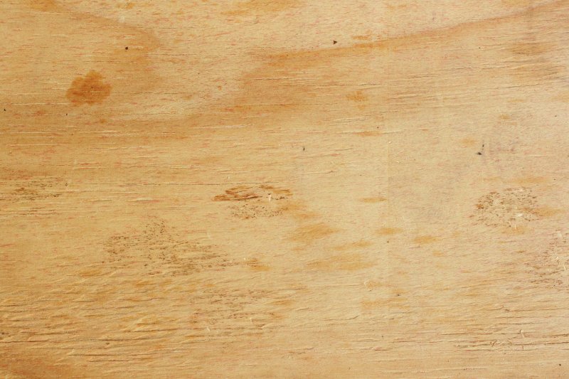 Текстура дерева ольха