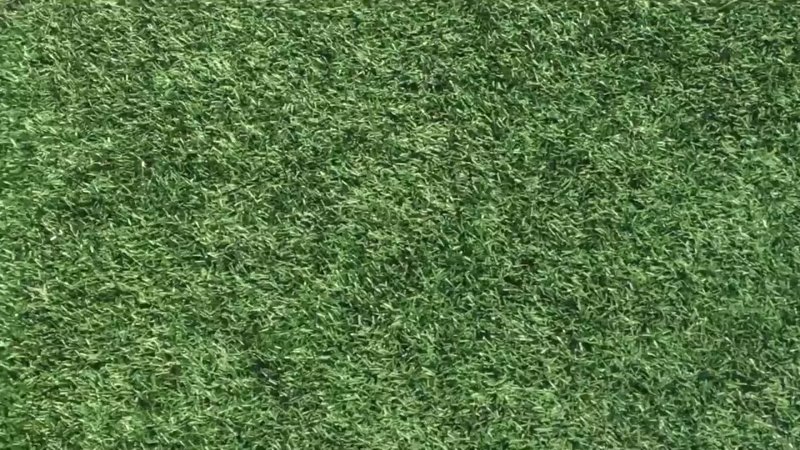 Влагостойкий текстура