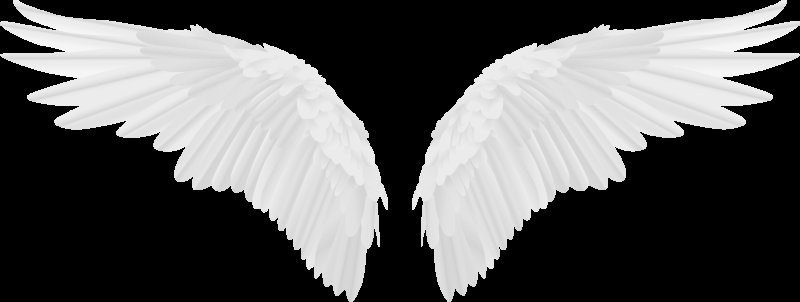 Крылья ангела
