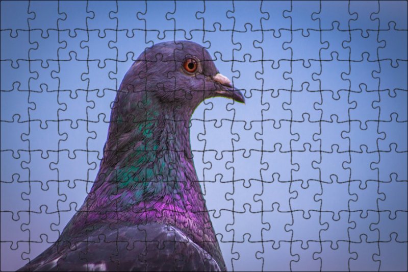 Сиреневые голуби