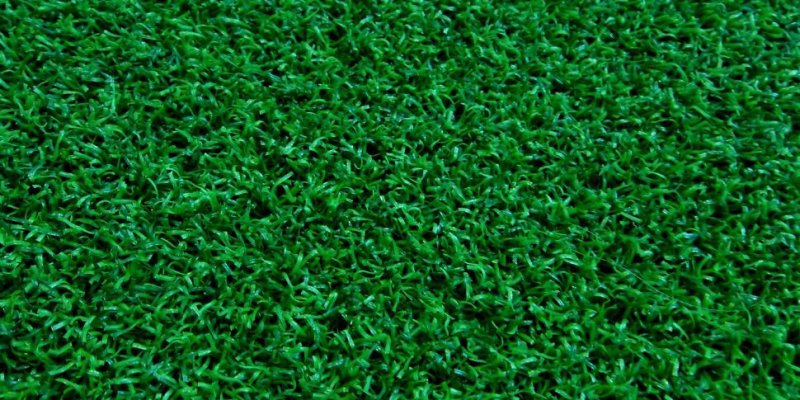 Grass texture бесшовная