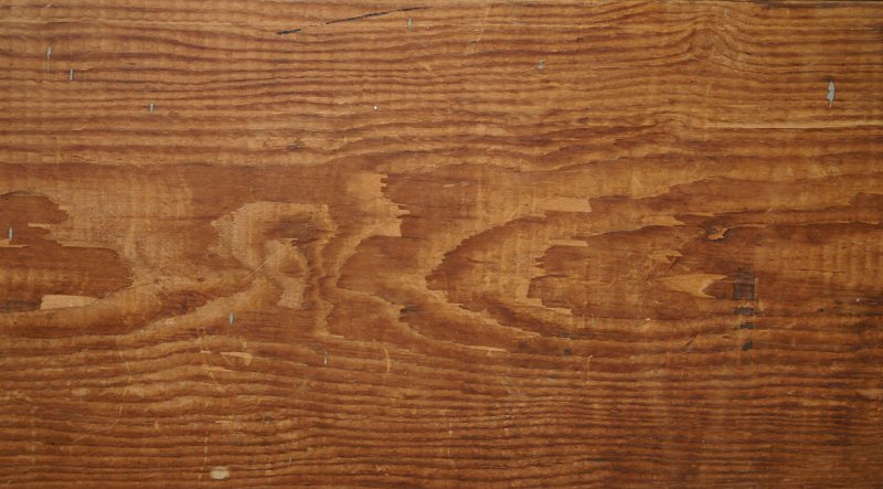 98 П золотистый дуб Скиф