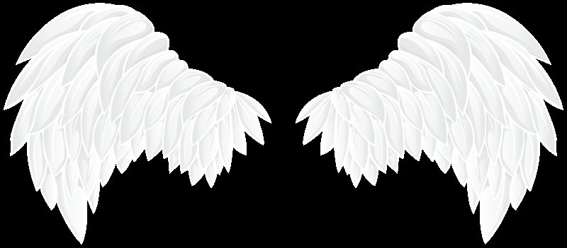 Белые Крылья на прозрачном фоне