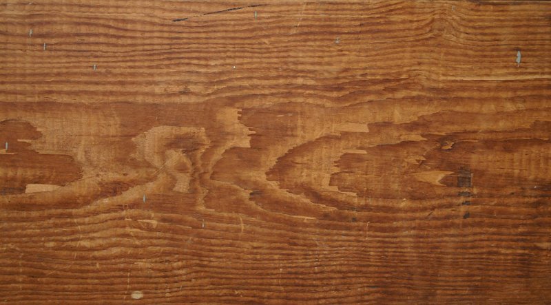 Золотистый дуб 98п