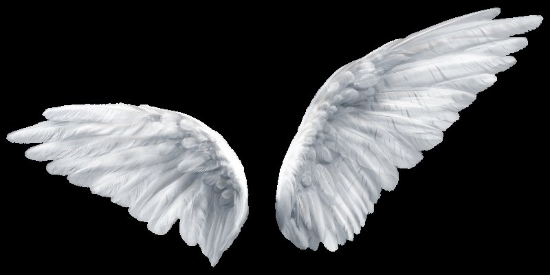 Крылья ангела на прозрачном фоне