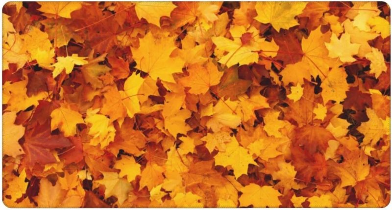 Осень картинки