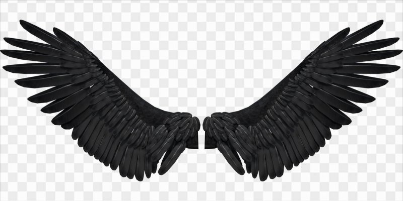 Белые Крылья на черном фоне