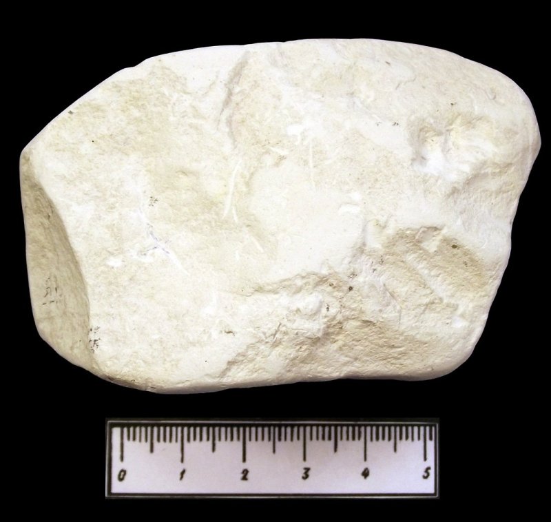 Мел Горная порода