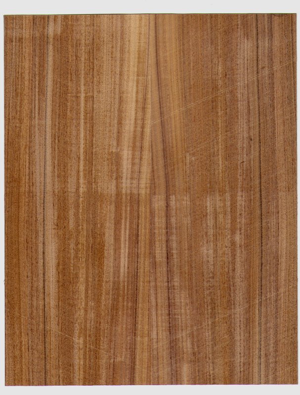 Шпон Wood Eucalyptus