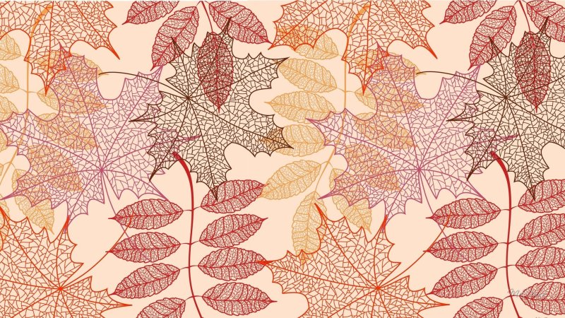 Кленовые листья фон