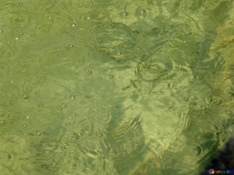 Текстура Болотной воды