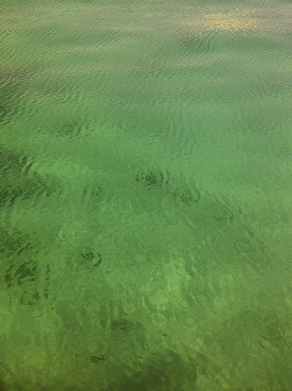 Текстура Болотной воды