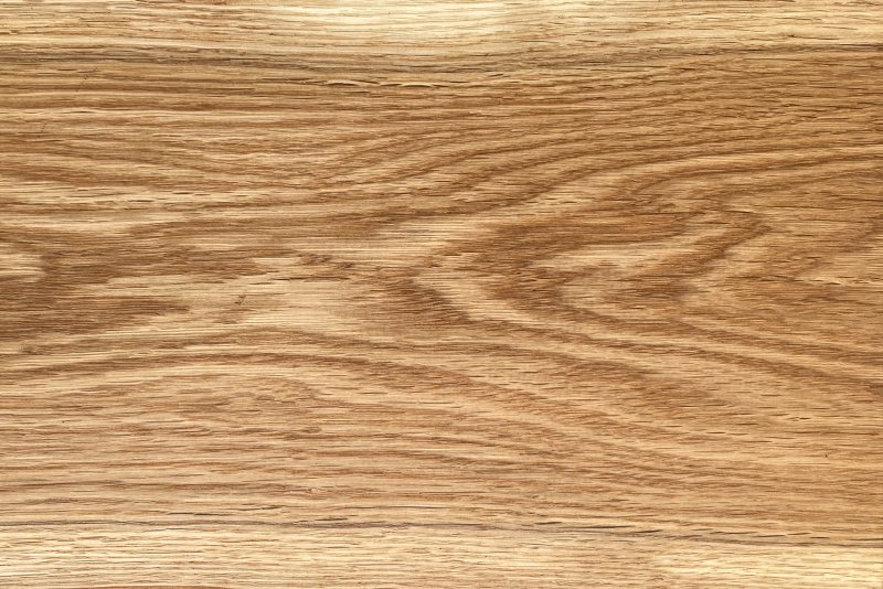 Дуб катания 202