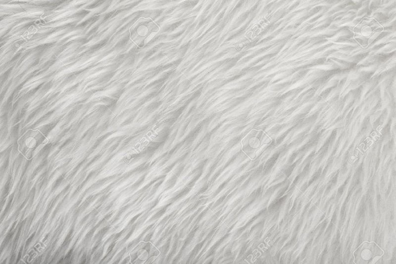 Белая шерсть текстура