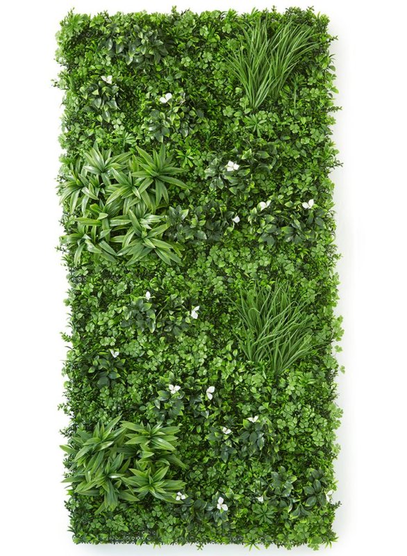 Фитостена самшит