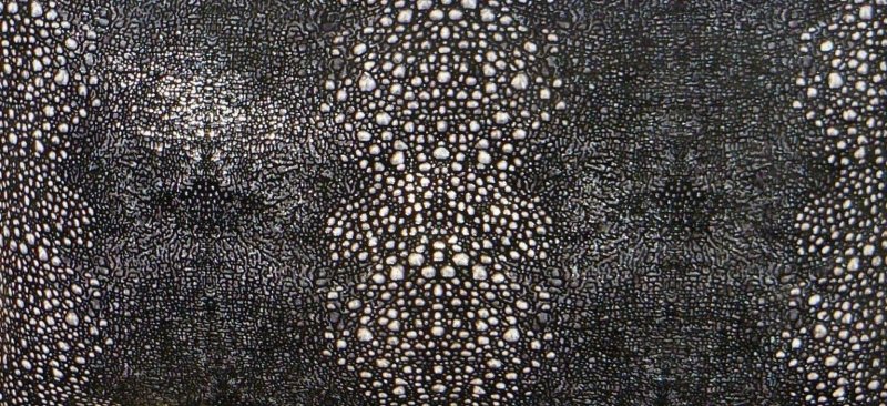 Кожа ската имитация