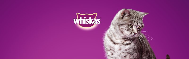 Реклама вискас