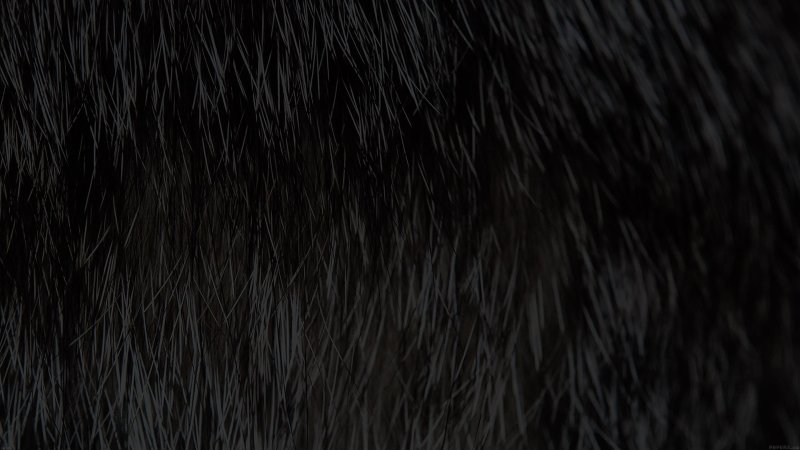 Черный мех