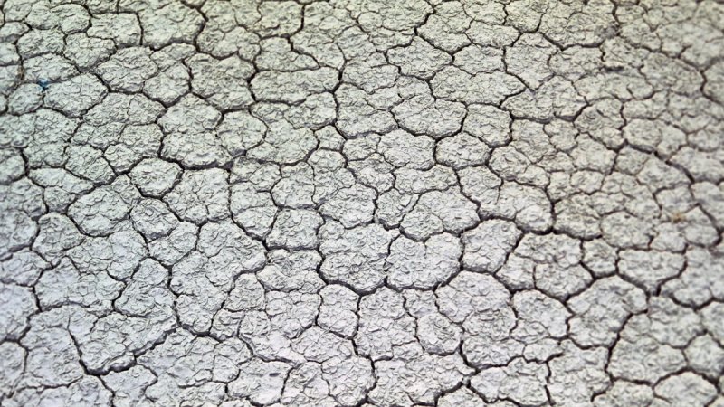 Потрескавшаяся земля