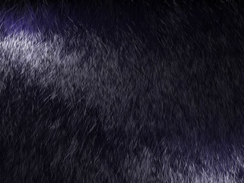 Черная шерсть