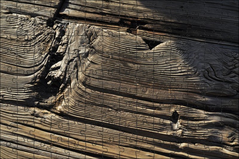 Фактура дерева