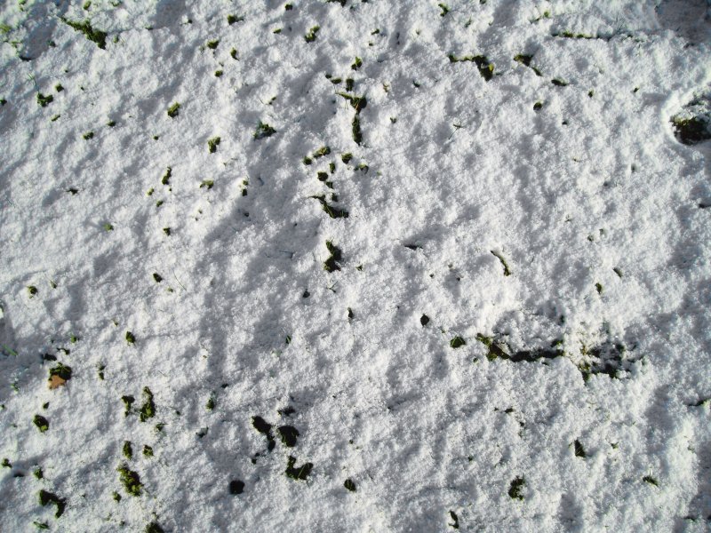 Снег текстура