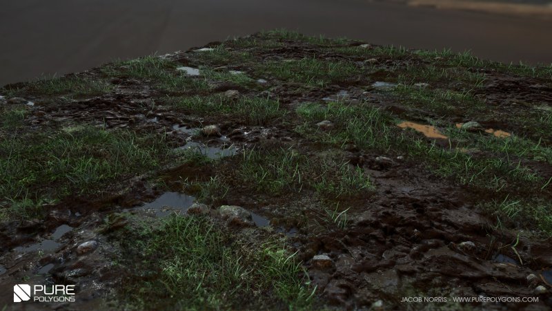 Текстура болота