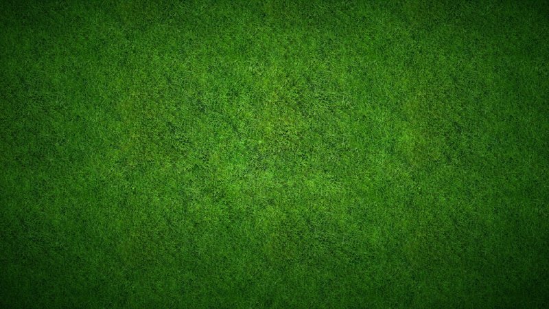 Текстура травы
