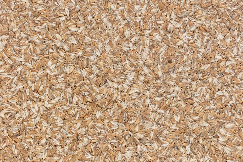 Лузга (шелуха) овсяная